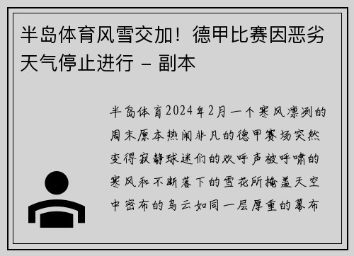 半岛体育风雪交加！德甲比赛因恶劣天气停止进行 - 副本