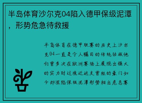 半岛体育沙尔克04陷入德甲保级泥潭，形势危急待救援