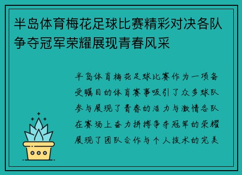 半岛体育梅花足球比赛精彩对决各队争夺冠军荣耀展现青春风采