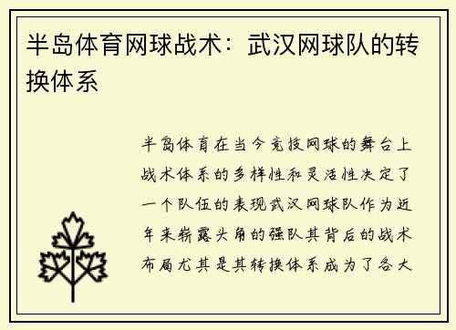 半岛体育网球战术：武汉网球队的转换体系