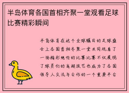 半岛体育各国首相齐聚一堂观看足球比赛精彩瞬间