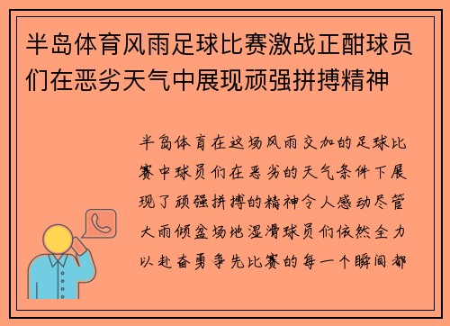 半岛体育风雨足球比赛激战正酣球员们在恶劣天气中展现顽强拼搏精神