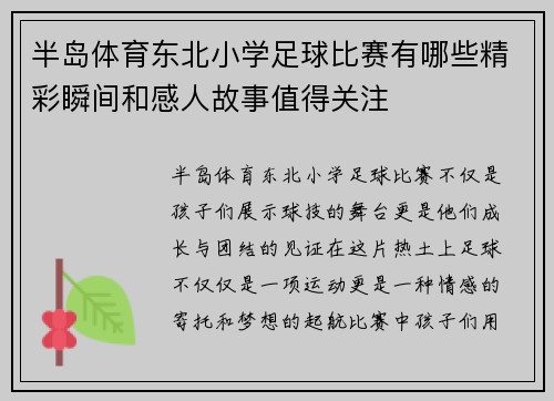 半岛体育东北小学足球比赛有哪些精彩瞬间和感人故事值得关注